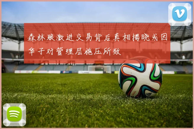 森林狼激进交易背后真相揭晓或因华子对管理层施压所致