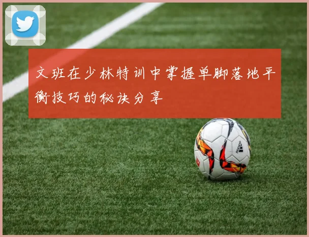 文班在少林特训中掌握单脚落地平衡技巧的秘诀分享